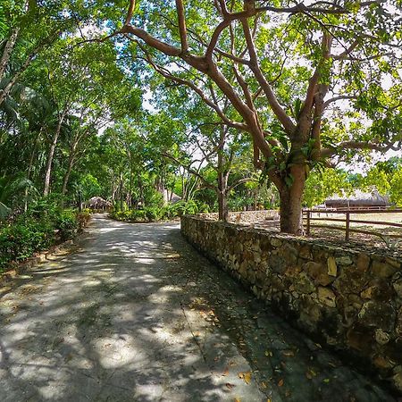 Orange Walk The Mayan Garden المظهر الخارجي الصورة